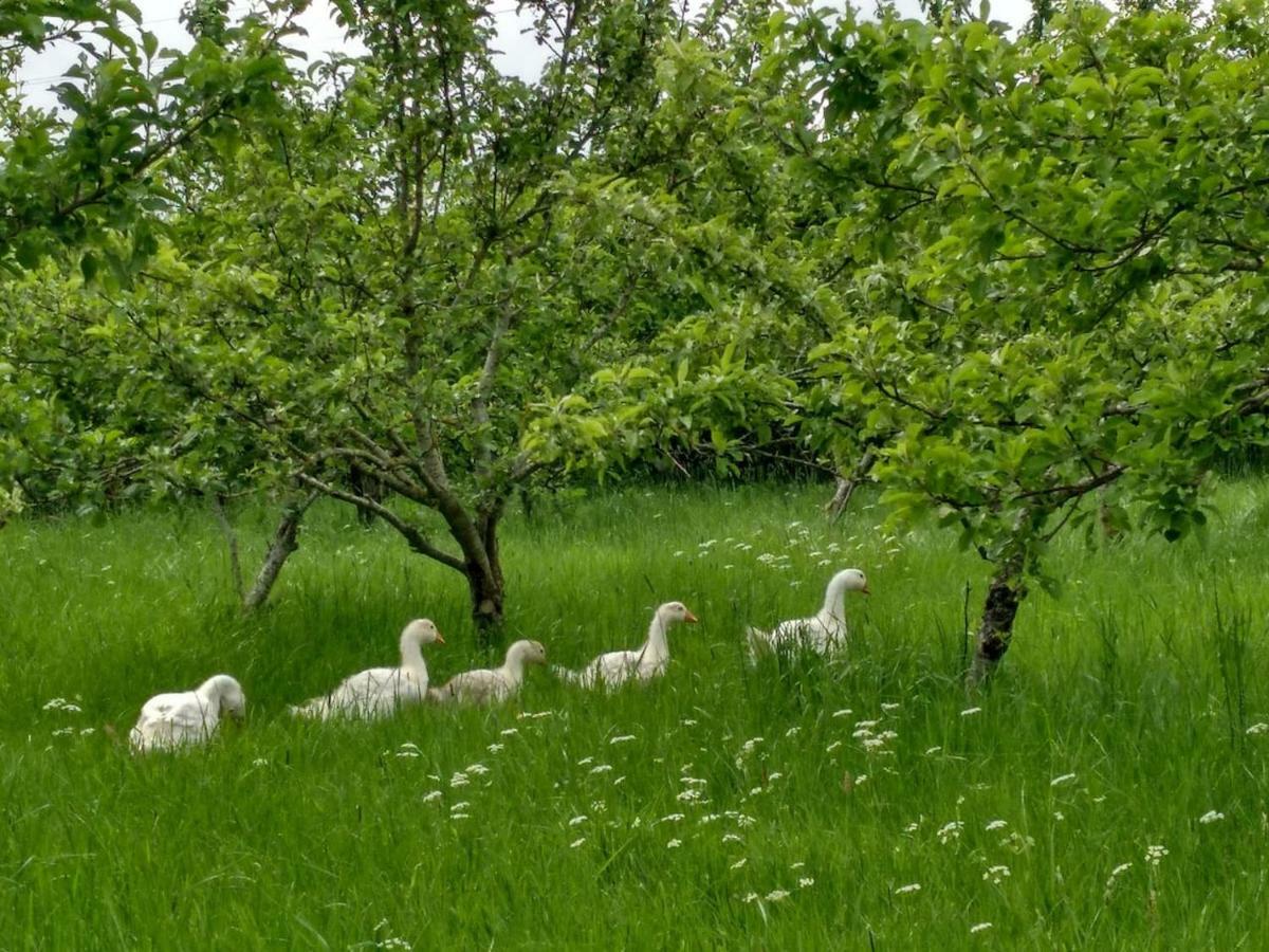 Bastle Retreats Farm Cottage Duns Dış mekan fotoğraf